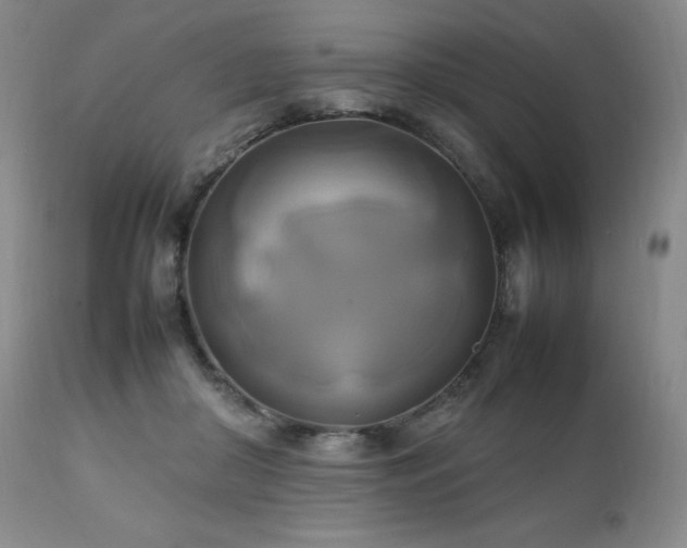 X0000111210410200907011449