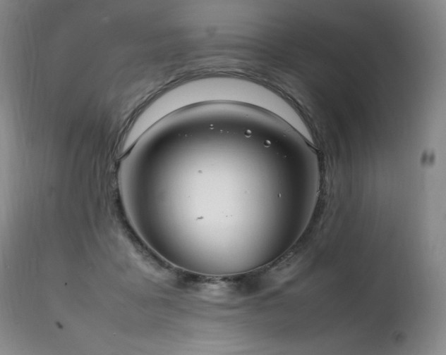 X0000111210411200907011449