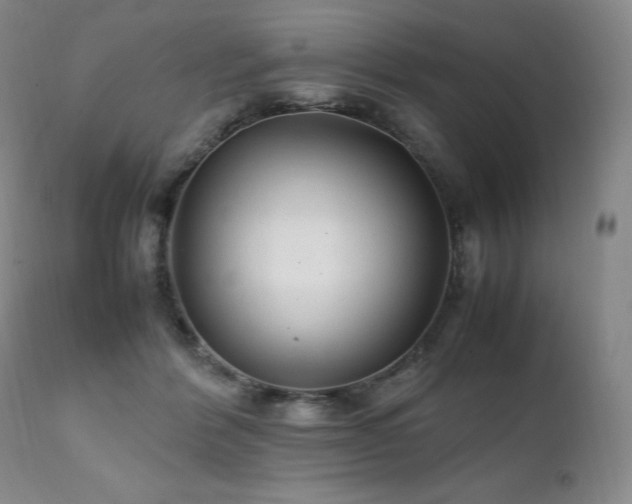 X0000111210412200907011449