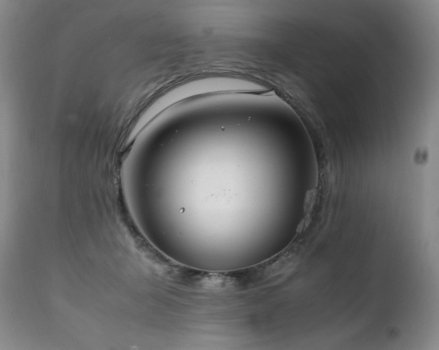 X0000111210415200907011449