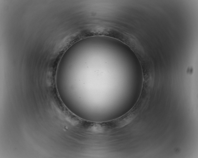 X0000111210416200907011449