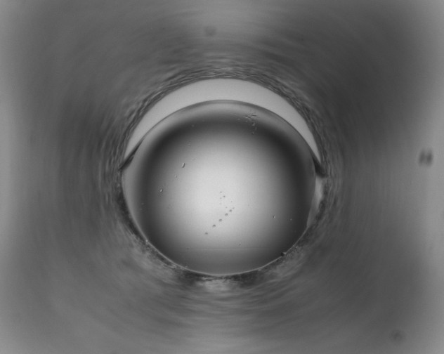 X0000111210417200907011449