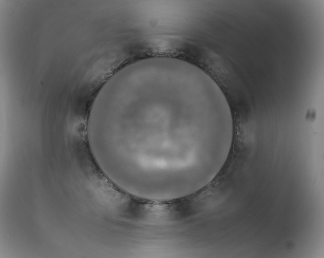 X0000111210419200907011449