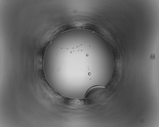 X0000111210421200907011449