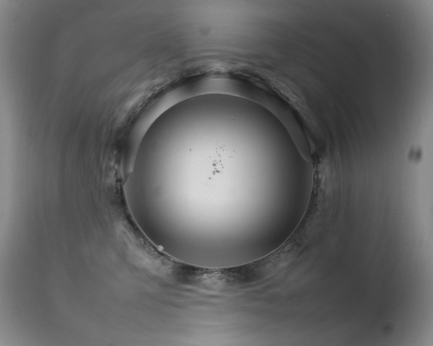 X0000111210423200907011449