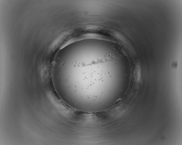 X0000111210424200907011449