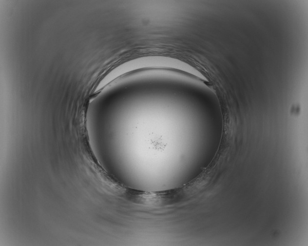 X0000111210425200907011449