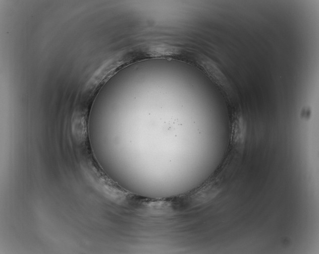 X0000111210426200907011449