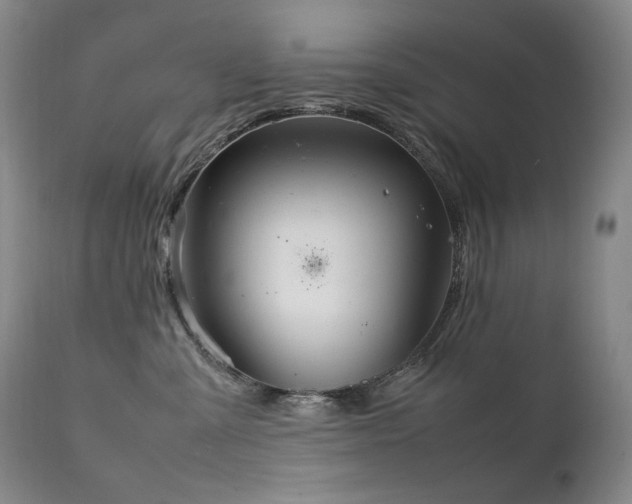 X0000111210427200907011449