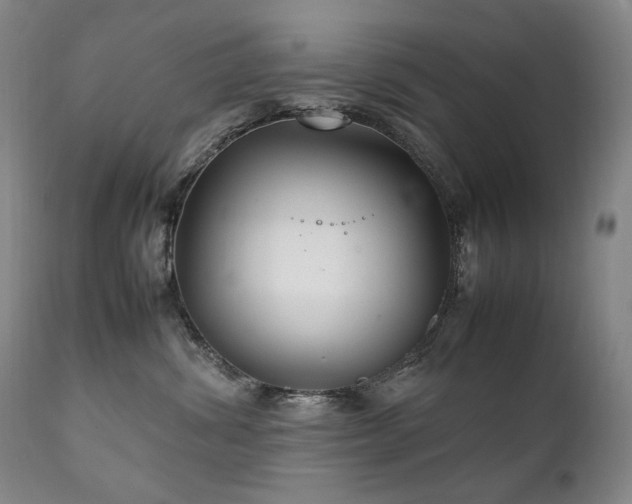 X0000111210428200907011449