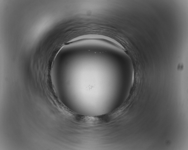 X0000111210429200907011449