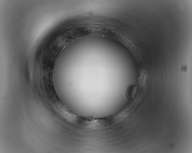 X0000111210430200907011449