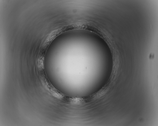 X0000111210432200907011449