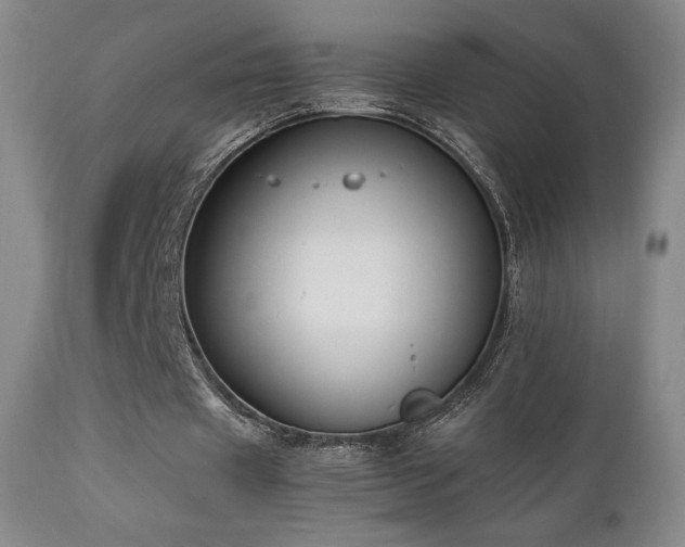 X0000111210433200907011448