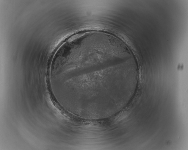 X0000111210434200907011448