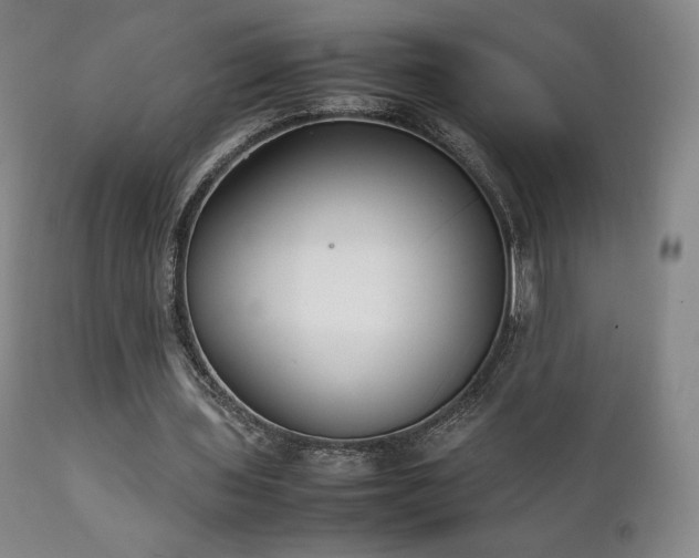 X0000111210435200907011448