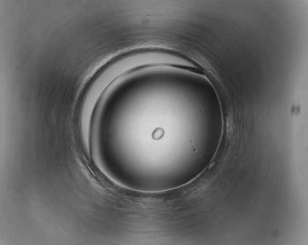 X0000111210436200907011449