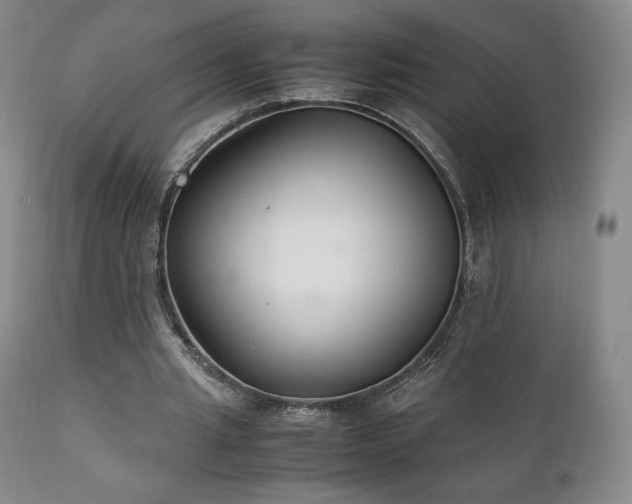 X0000111210437200907011449