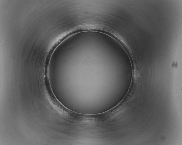 X0000111210438200907011449