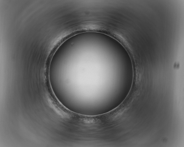 X0000111210439200907011449