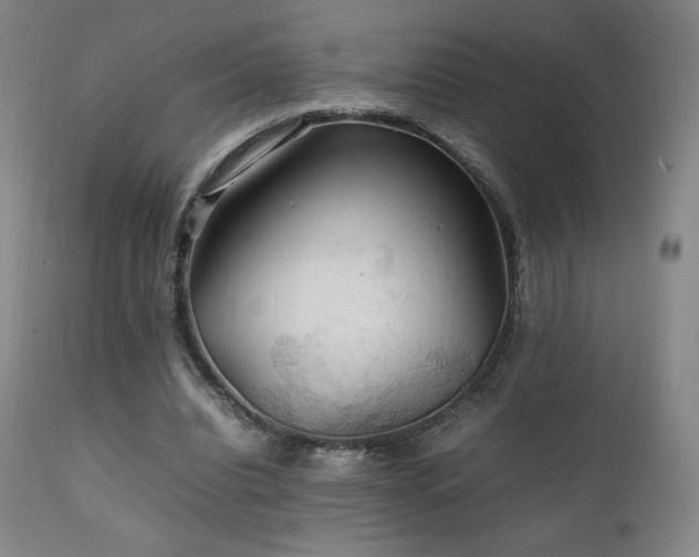 X0000111210440200907011449