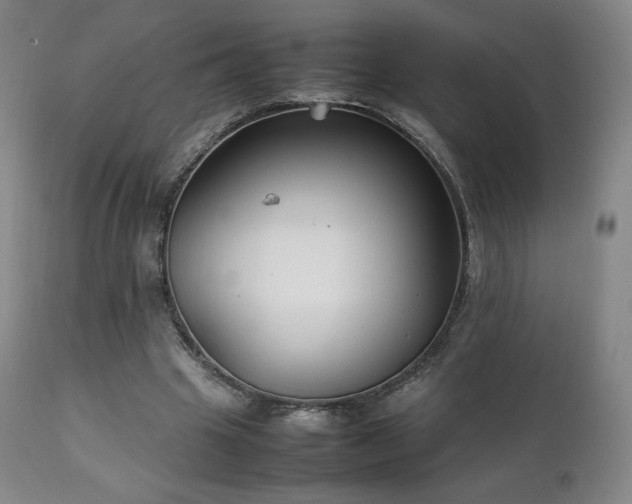 X0000111210441200907011449