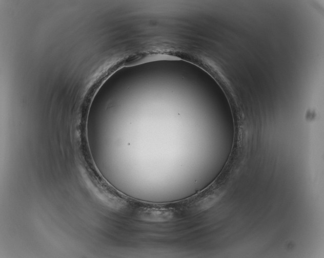 X0000111210443200907011449