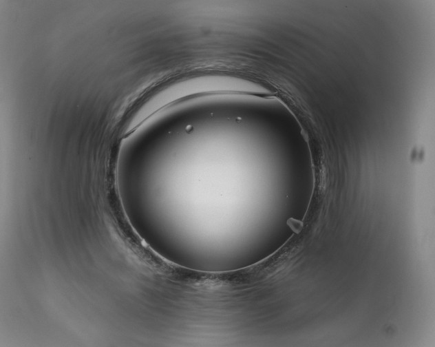 X0000111210444200907011449