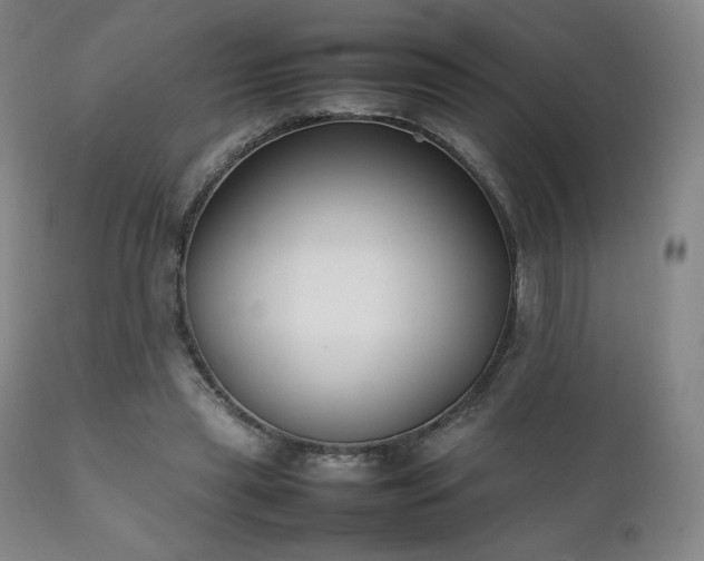 X0000111210445200907011449