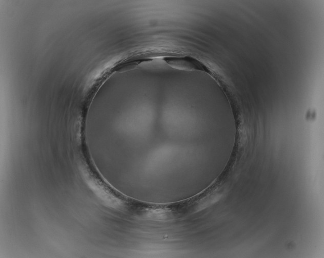 X0000111210446200907011449