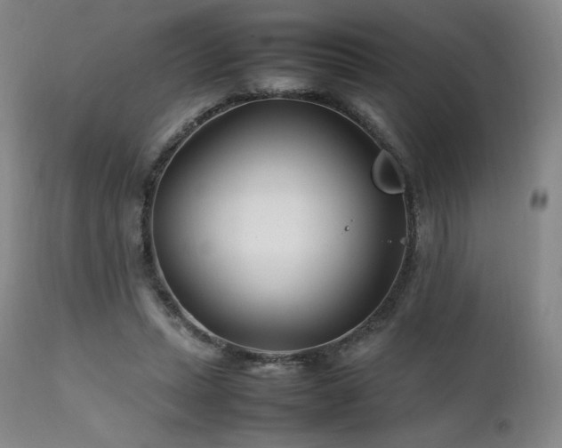 X0000111210447200907011449