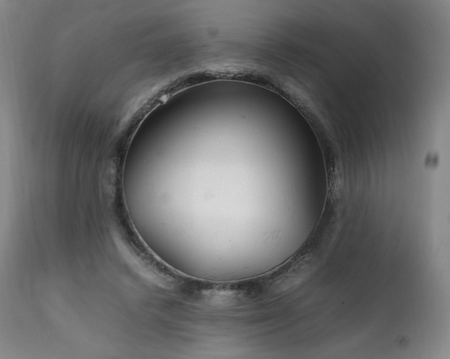 X0000111210448200907011449