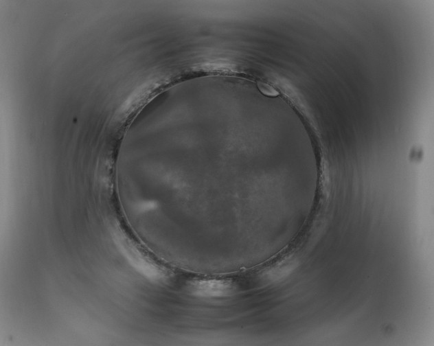 X0000111210449200907011449