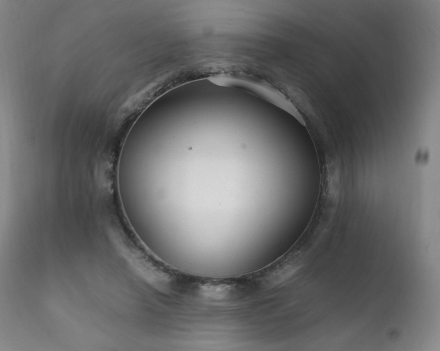 X0000111210450200907011449