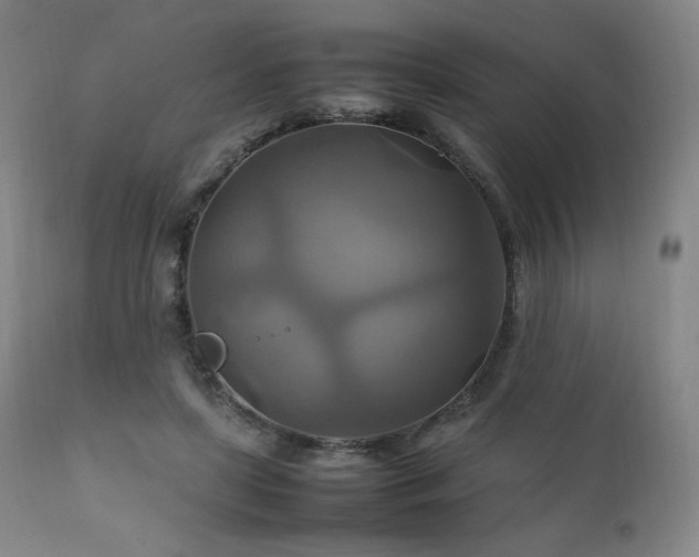 X0000111210451200907011449