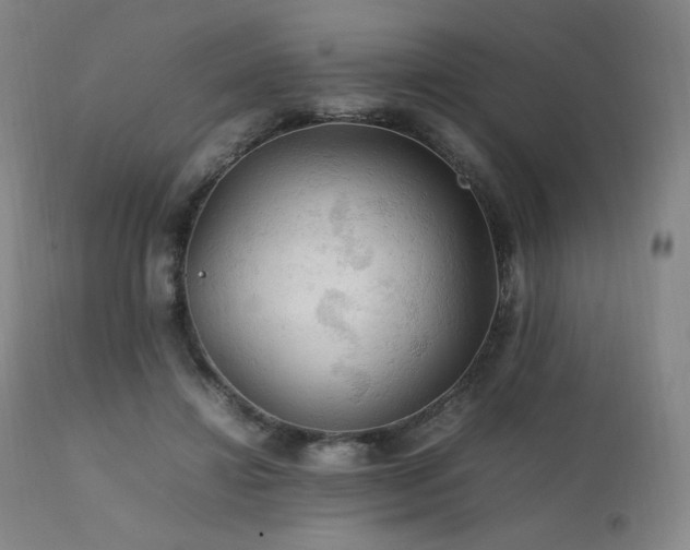 X0000111210452200907011449