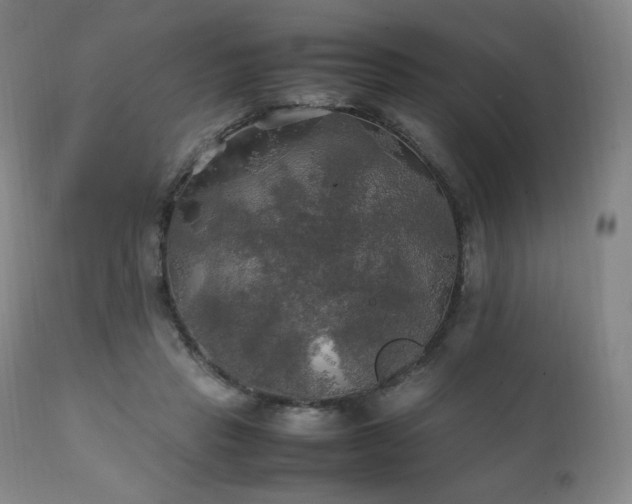 X0000111210453200907011449