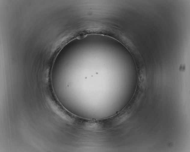 X0000111210454200907011449