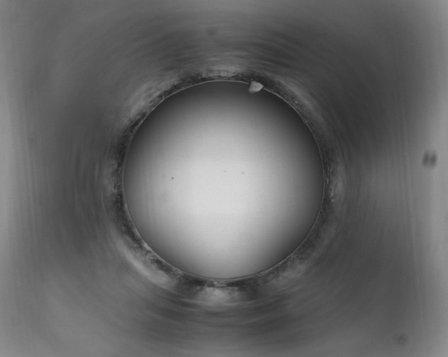 X0000111210455200907011449