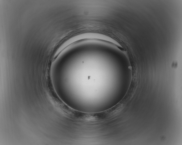 X0000111210456200907011449