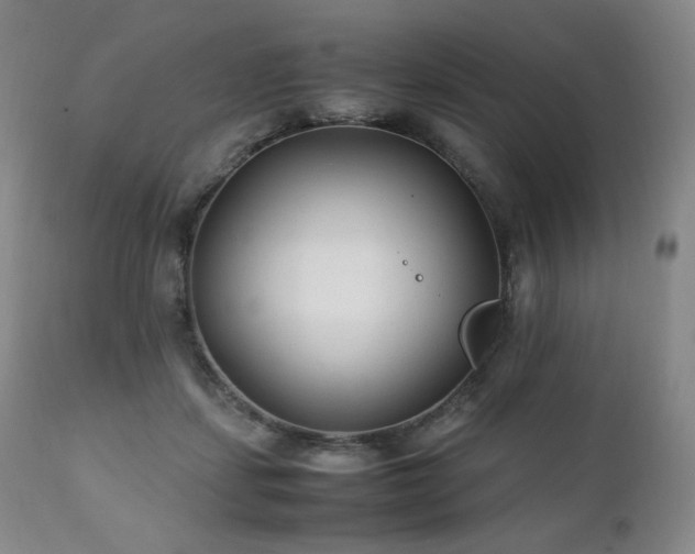 X0000111210459200907011449