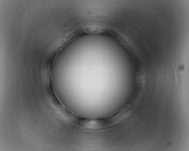 X0000111210460200907011449