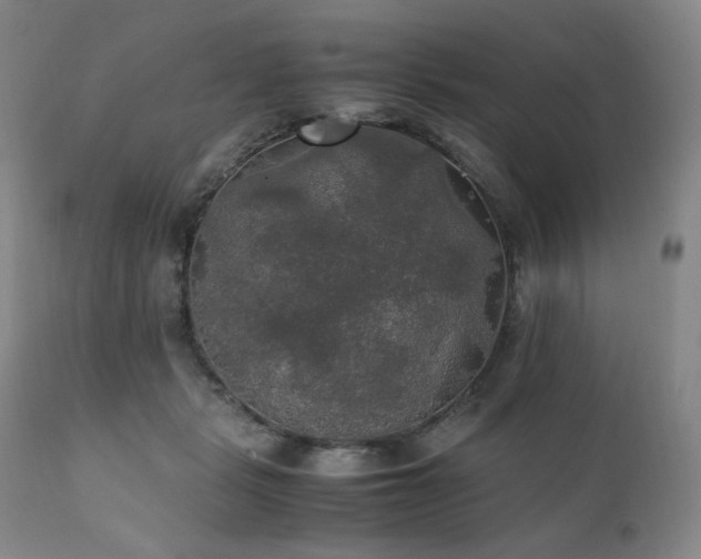 X0000111210461200907011449