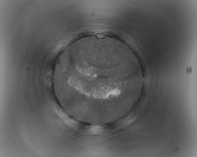 X0000111210462200907011449