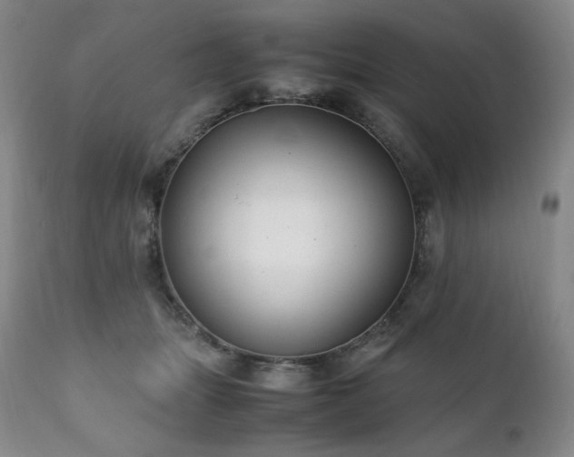 X0000111210463200907011449