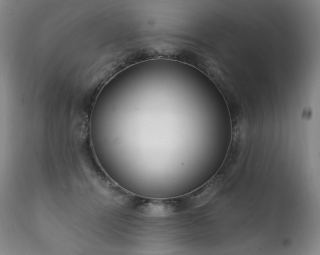 X0000111210464200907011449