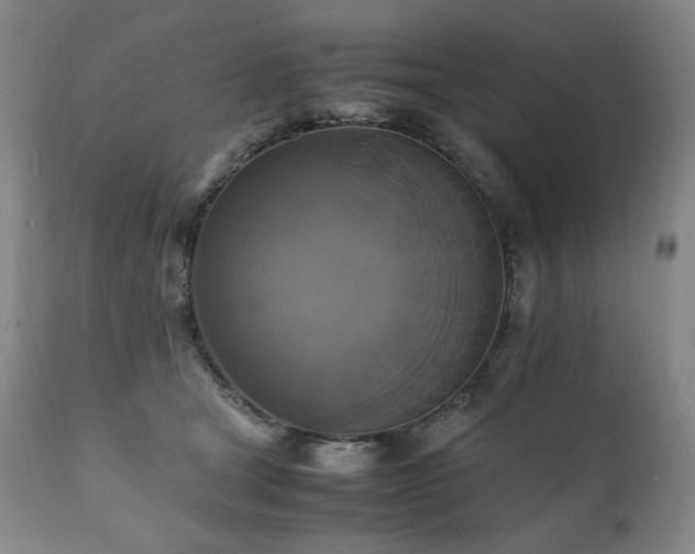 X0000111210465200907011449