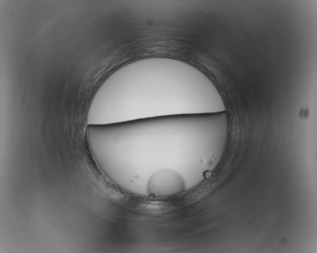 X0000111210467200907011449