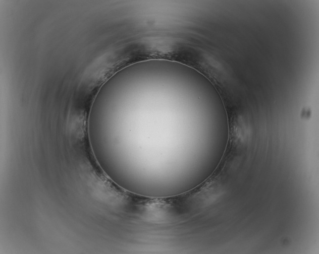 X0000111210468200907011449