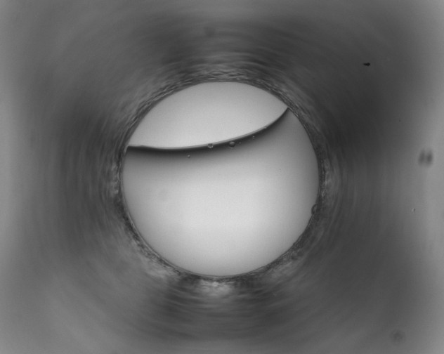 X0000111210469200907011449